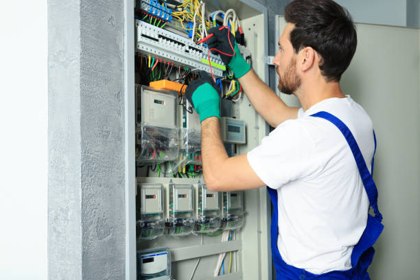 Best Electric Panel Repair  in Lovington, NM